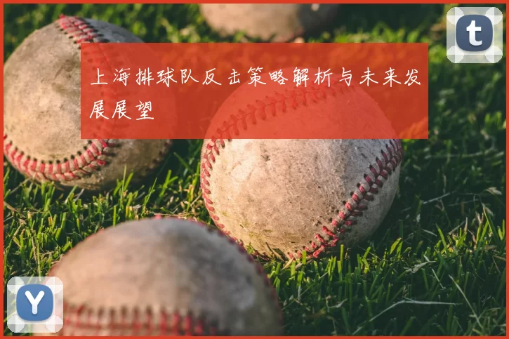 上海排球队反击策略解析与未来发展展望