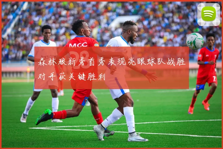 森林狼新秀首秀表现亮眼球队战胜对手获关键胜利