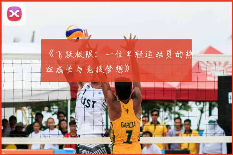 《飞跃极限：一位年轻运动员的热血成长与竞技梦想》