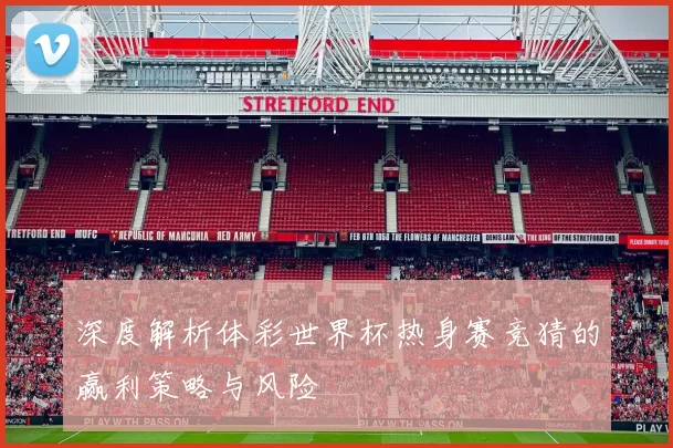 深度解析体彩世界杯热身赛竞猜的赢利策略与风险