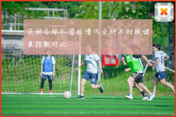 英超各球队营收情况分析及财政健康指数对比