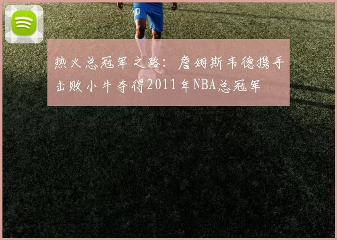 热火总冠军之路:詹姆斯韦德携手击败小牛夺得2011年NBA总冠军