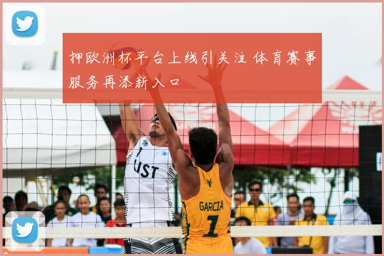 押欧洲杯平台上线引关注 体育赛事服务再添新入口