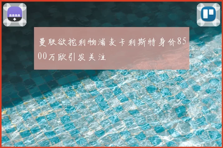 曼联欲挖利物浦麦卡利斯特身价8500万欧引发关注