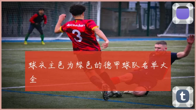 球衣主色为绿色的德甲球队名单大全