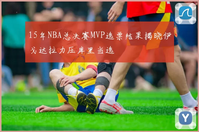 15年NBA总决赛MVP选票结果揭晓伊戈达拉力压库里当选