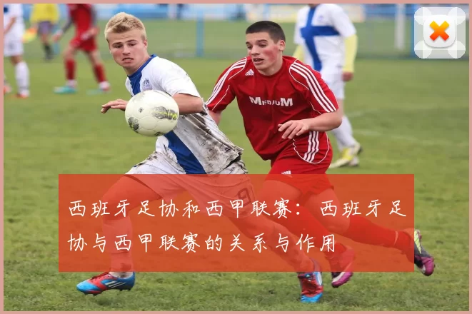 西班牙足协和西甲联赛:西班牙足协与西甲联赛的关系与作用