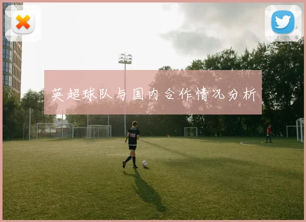 英超球队与国内合作情况分析
