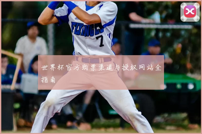 世界杯官方购票渠道与授权网站全指南