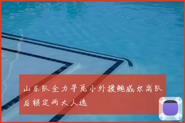 山东队全力寻觅小外援鲍威尔离队后锁定两大人选